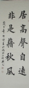 杨明杰书法   